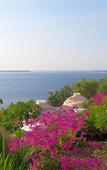 Туры в отель Mentigi Bay Dome Villas Туры в отель Mentigi Bay Dome Villas