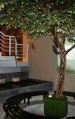 Туры в отель Hotel Parangraja Туры в отель Hotel Parangraja