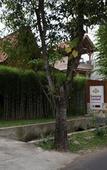 Туры в отель Kampung Lawasan Heritage Cottage Туры в отель Kampung Lawasan Heritage Cottage