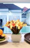 Туры в отель Cipta Hotel Uluwatu Туры в отель Cipta Hotel Uluwatu