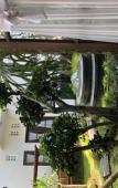 Туры в отель Clemmie Huis Туры в отель Clemmie Huis