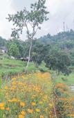 Туры в отель RedDoorz Resort Syariah @ Idelansia Homestay Ciater Туры в отель RedDoorz Resort Syariah @ Idelansia Homestay Ciater