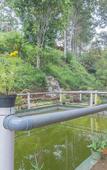 Туры в отель RedDoorz Resort Syariah @ Idelansia Homestay Ciater Туры в отель RedDoorz Resort Syariah @ Idelansia Homestay Ciater