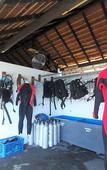 Туры в отель Cocotinos Lembeh a Boutique Dive Lodge Туры в отель Cocotinos Lembeh a Boutique Dive Lodge
