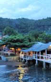 Туры в отель Cocotinos Lembeh a Boutique Dive Lodge Туры в отель Cocotinos Lembeh a Boutique Dive Lodge