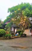 Туры в отель Hotel Perdana Туры в отель Hotel Perdana