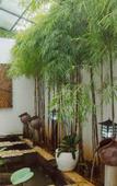 Туры в отель Urbanest Inn House Slipi Туры в отель Urbanest Inn House Slipi