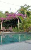 Туры в отель Pier26 Bali Homestay Туры в отель Pier26 Bali Homestay
