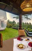 Туры в отель Bubble Hotel Bali Ubud - Glamping Туры в отель Bubble Hotel Bali Ubud - Glamping