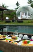 Туры в отель Bubble Hotel Bali Ubud - Glamping Туры в отель Bubble Hotel Bali Ubud - Glamping