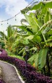 Туры в отель Bubble Hotel Bali Ubud - Glamping Туры в отель Bubble Hotel Bali Ubud - Glamping