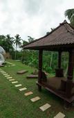 Туры в отель Bubble Hotel Bali Ubud - Glamping Туры в отель Bubble Hotel Bali Ubud - Glamping