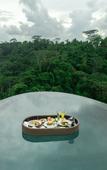 Туры в отель Bubble Hotel Bali Ubud - Glamping Туры в отель Bubble Hotel Bali Ubud - Glamping