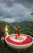 Туры в отель Bubble Hotel Bali Ubud - Glamping Туры в отель Bubble Hotel Bali Ubud - Glamping