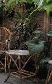Туры в отель Snooze Guesthouse Yogyakarta - Hostel Туры в отель Snooze Guesthouse Yogyakarta - Hostel