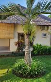 Туры в отель InBalance Resort Туры в отель InBalance Resort