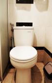 Туры в отель Bendungan Hilir, Tanah Abang Туры в отель Bendungan Hilir, Tanah Abang