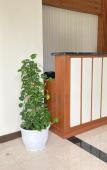 Туры в отель Panen Hotel Bandung Туры в отель Panen Hotel Bandung