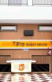 Туры в отель Tulip Guest House Туры в отель Tulip Guest House