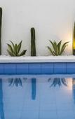 Туры в отель The Grand Daha Luxury Villas Туры в отель The Grand Daha Luxury Villas
