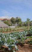 Туры в отель Bukit Vipassana Hotel Туры в отель Bukit Vipassana Hotel