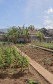 Туры в отель Bukit Vipassana Hotel Туры в отель Bukit Vipassana Hotel