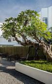 Туры в отель JW Naungan Coliving Туры в отель JW Naungan Coliving