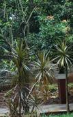 Туры в отель Losmen Kebun Indah Туры в отель Losmen Kebun Indah