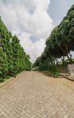 Туры в отель Dream Belle Villa Туры в отель Dream Belle Villa