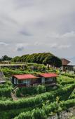 Туры в отель Dream Belle Villa Туры в отель Dream Belle Villa