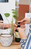 Туры в отель Sanctuary Spaces Hotel, Slipi - Tomang Туры в отель Sanctuary Spaces Hotel, Slipi - Tomang