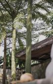 Туры в отель The Retreat at Kharista by Ekosistem Туры в отель The Retreat at Kharista by Ekosistem