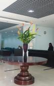 Туры в отель Naraya Hotel Jakarta Туры в отель Naraya Hotel Jakarta