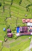 Туры в отель Kubu Sakian Villa Туры в отель Kubu Sakian Villa