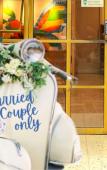 Туры в отель Andalucia Lodge & Brunch Туры в отель Andalucia Lodge & Brunch