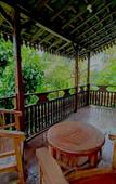 Туры в отель Bali Jungle Camping Туры в отель Bali Jungle Camping