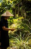 Туры в отель Bali Jungle Camping Туры в отель Bali Jungle Camping