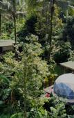Туры в отель Bali Jungle Camping Туры в отель Bali Jungle Camping