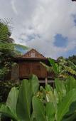 Туры в отель Bali Jungle Camping Туры в отель Bali Jungle Camping