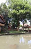 Туры в отель Kampung Pa'go Resort Hotel Туры в отель Kampung Pa'go Resort Hotel