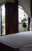 Туры в отель NILA HOUSE, Sharia Family Home Stay Туры в отель NILA HOUSE, Sharia Family Home Stay