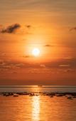 Туры в отель Bintan Exotica Resort By Waringin Hospitality Туры в отель Bintan Exotica Resort By Waringin Hospitality