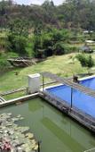 Туры в отель Shine River Ciwidey Туры в отель Shine River Ciwidey
