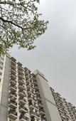 Туры в отель Newly Prima Orchard Hotel Bekasi Туры в отель Newly Prima Orchard Hotel Bekasi