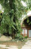 Туры в отель Uma Linggah Resort by Puri Signatures Туры в отель Uma Linggah Resort by Puri Signatures