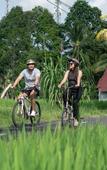 Туры в отель Uma Linggah Resort by Puri Signatures Туры в отель Uma Linggah Resort by Puri Signatures