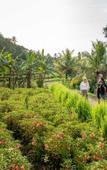 Туры в отель Kaura Bali Туры в отель Kaura Bali
