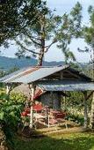 Туры в отель Hilltop Camp, Lembang Туры в отель Hilltop Camp, Lembang