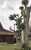 Туры в отель Kampoeng Joglo Boutique Hotel Туры в отель Kampoeng Joglo Boutique Hotel