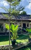 Туры в отель Roots Hotel Senggigi Туры в отель Roots Hotel Senggigi